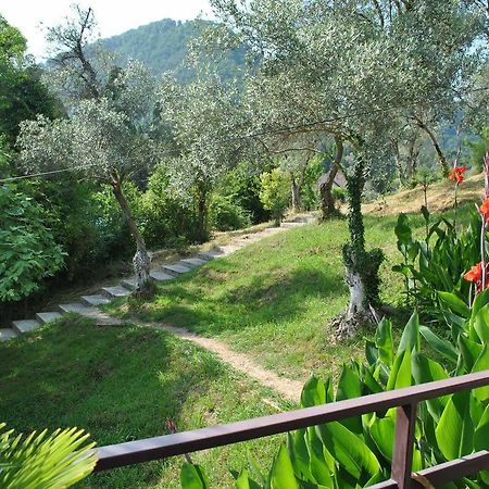 Villa Oliva New Athos エクステリア 写真