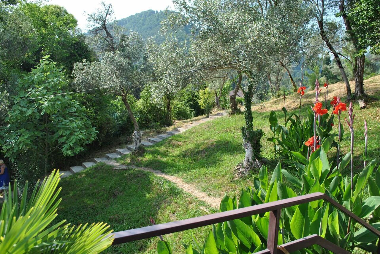 Villa Oliva New Athos エクステリア 写真